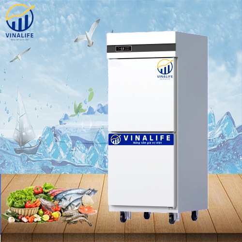 Tủ Cấp Đông 2 Cánh Quạt Gió